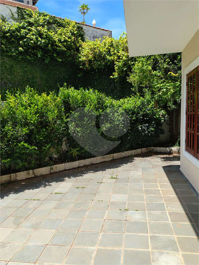 Foto REO1132240