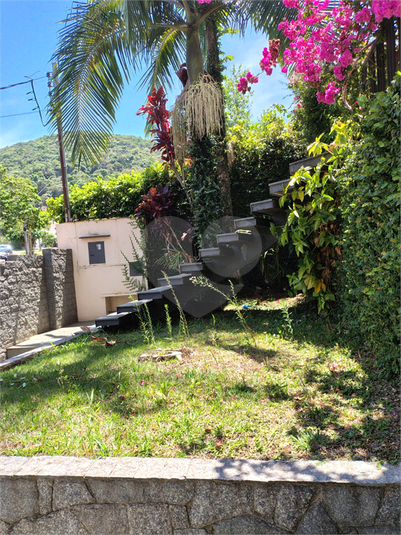Foto REO1132240