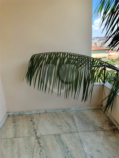 Foto REO1132240