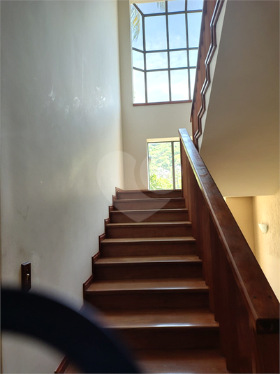 Foto REO1132240