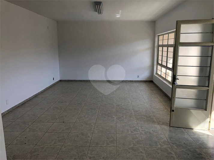Foto REO1132242