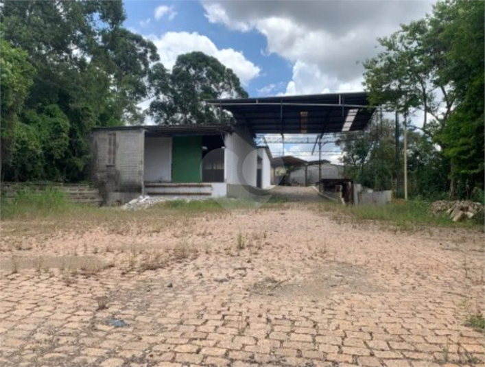 Foto REO1132253