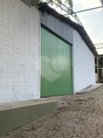Foto REO1132253