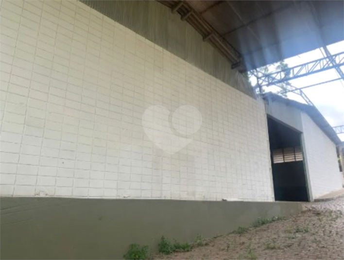 Foto REO1132253