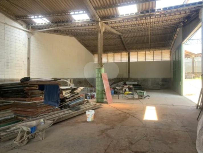 Foto REO1132253