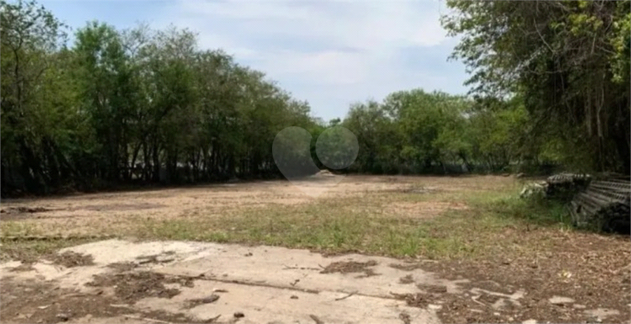Foto REO1132253