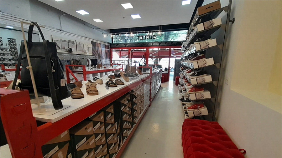 Foto REO1132257