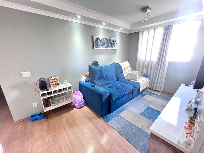 Foto REO1132261