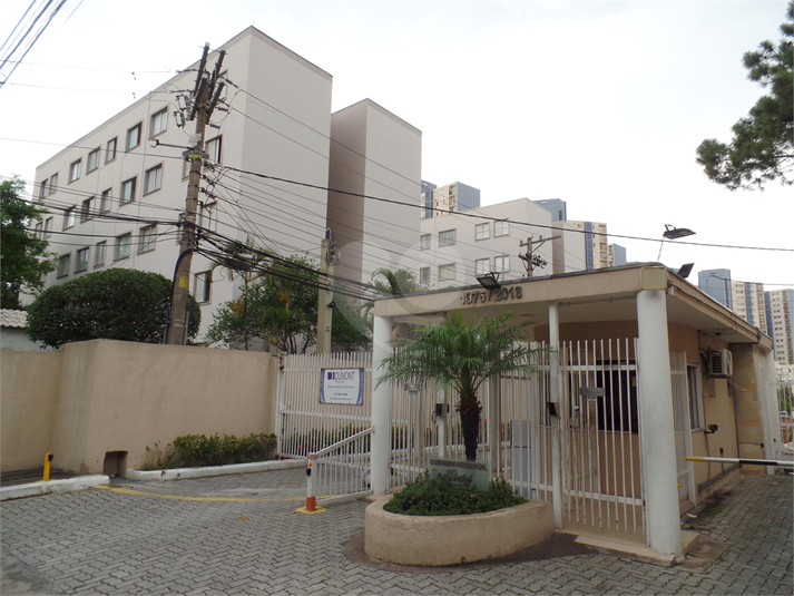 Foto REO1132261
