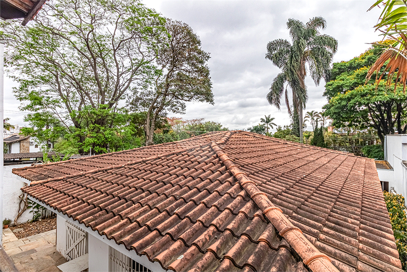 Foto REO1132265