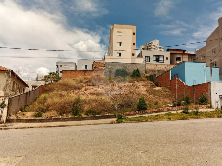 Foto REO1132279