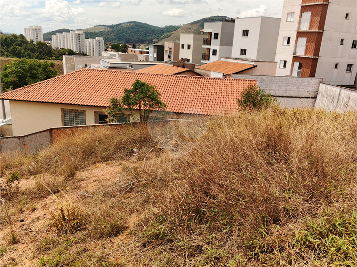 Foto REO1132279
