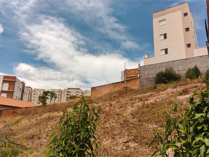 Foto REO1132279