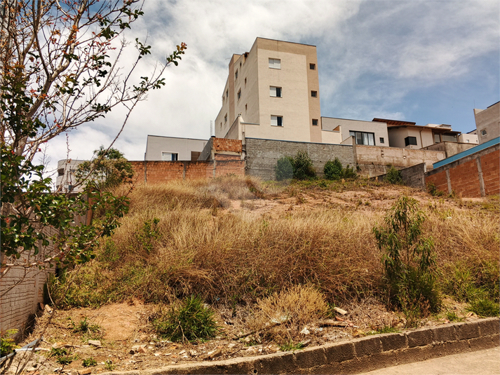 Foto REO1132279