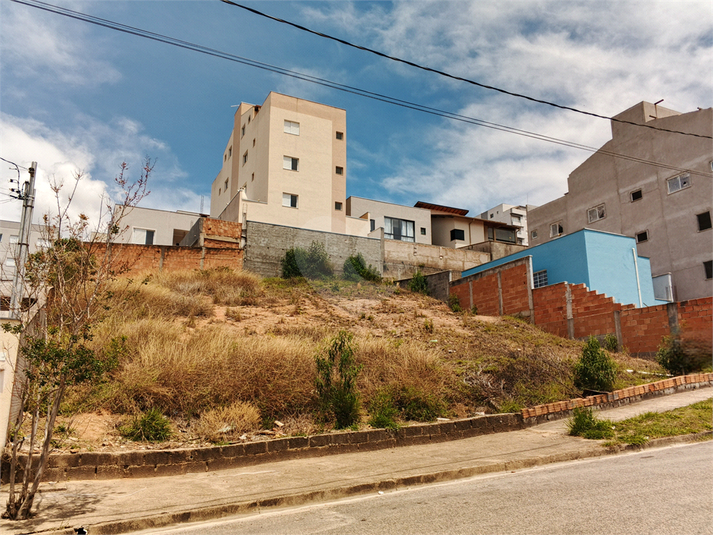 Foto REO1132279