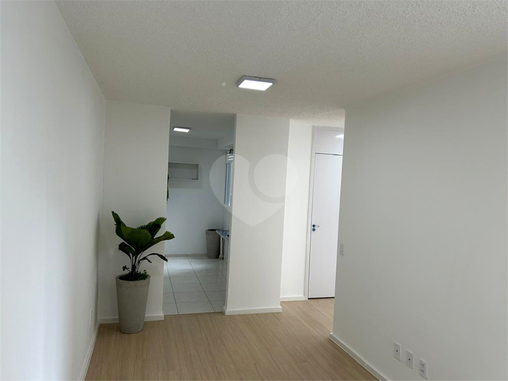 Foto REO1132288