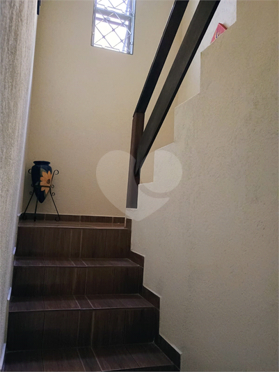 Foto REO1132289