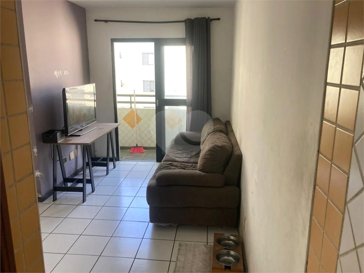 Foto REO1132290