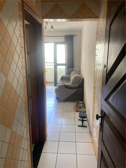 Foto REO1132290