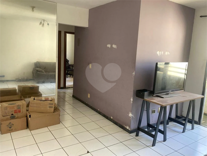 Foto REO1132290