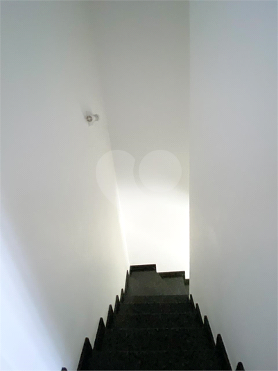 Foto REO1132293