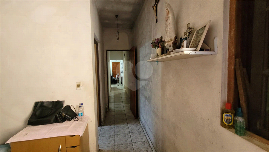 Foto REO1132304