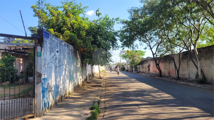 Foto REO1132304
