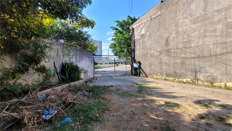 Foto REO1132304