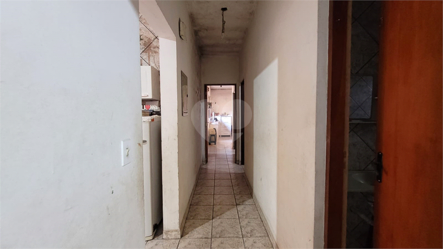 Foto REO1132304
