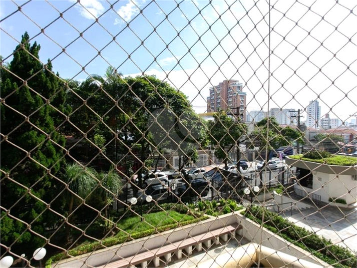 Foto REO1132321