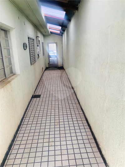 Foto REO1132332