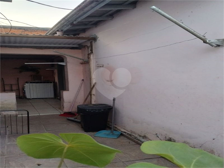Foto REO1132332