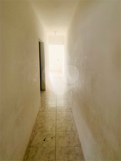 Foto REO1132332