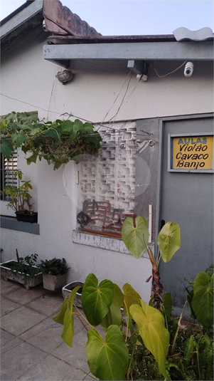 Foto REO1132332
