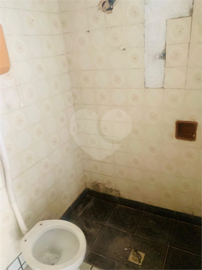 Foto REO1132332