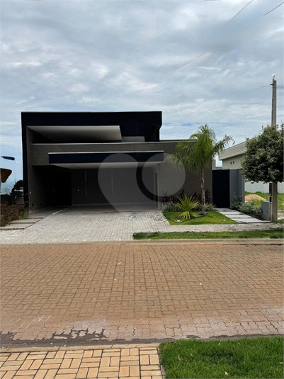 Foto REO1132333