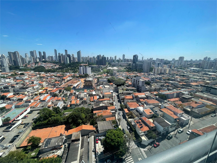 Foto REO1132337