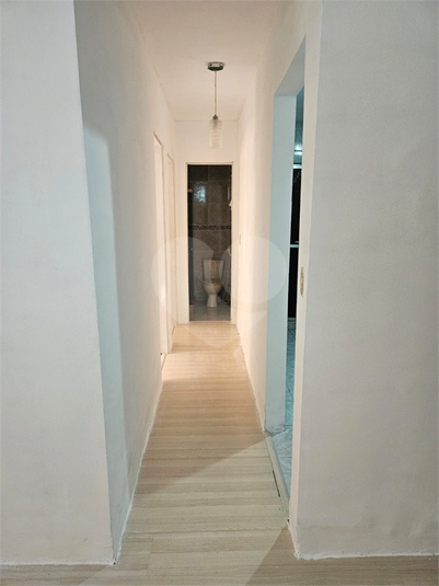 Foto REO1132339