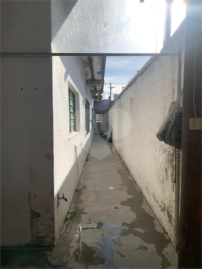 Foto REO1132346
