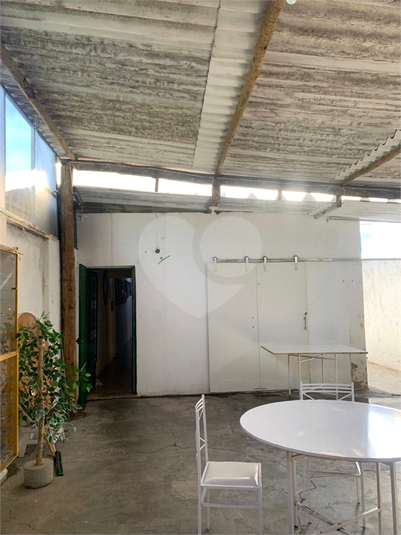 Foto REO1132346