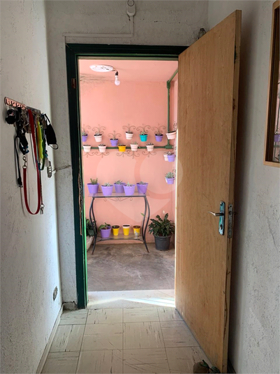 Foto REO1132346