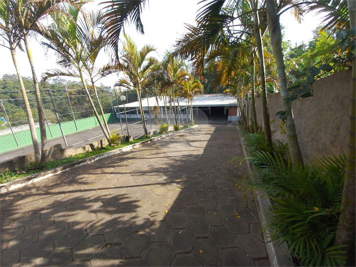 Foto REO1132359