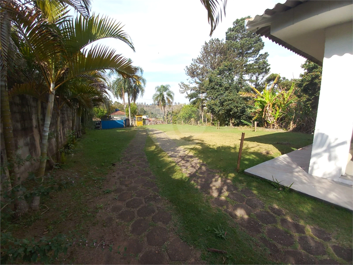 Foto REO1132359