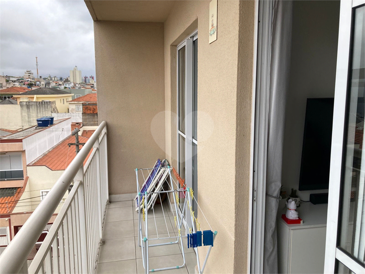 Foto REO1132362