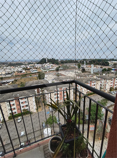 Foto REO1132365