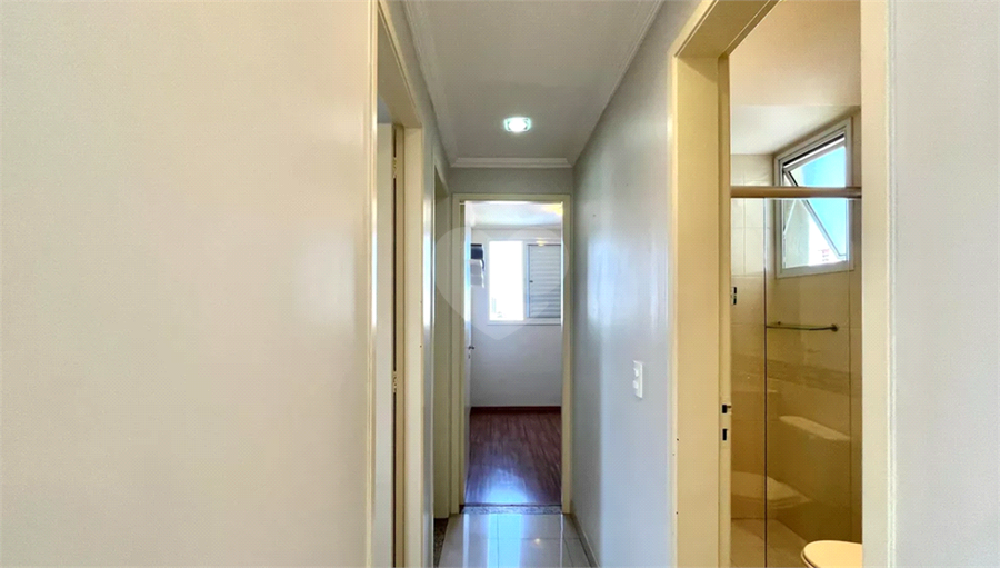 Foto REO1132369