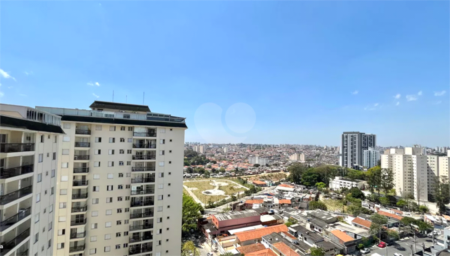 Foto REO1132369
