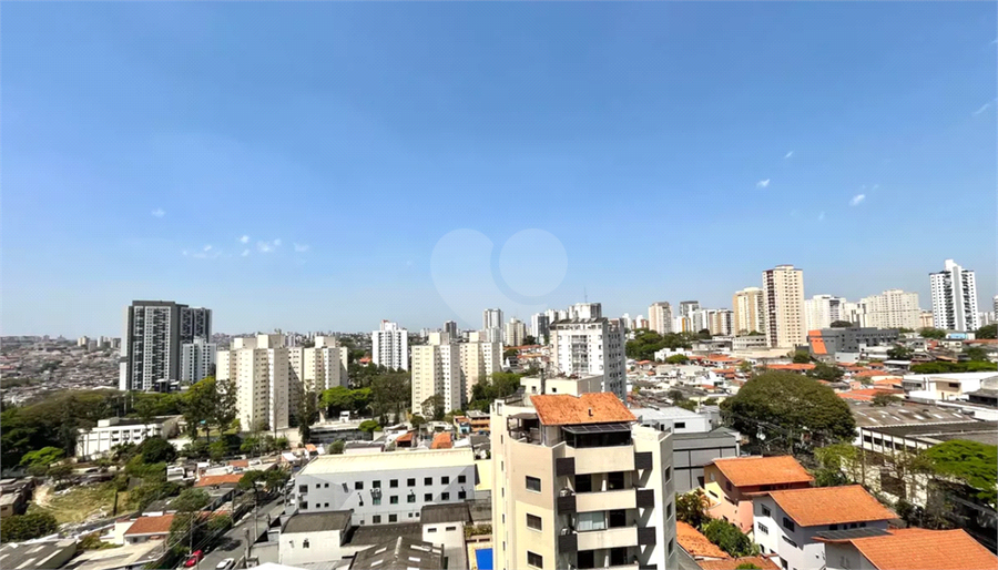Foto REO1132369