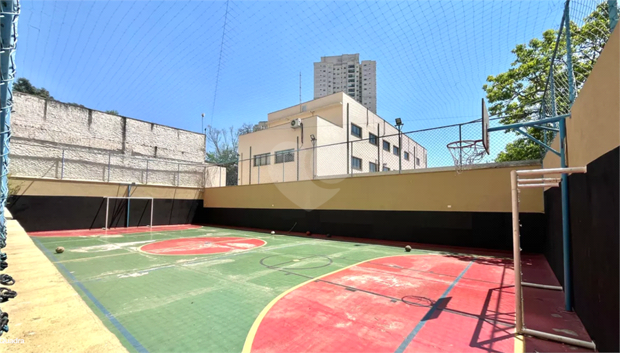 Foto REO1132369