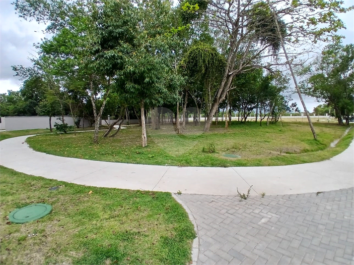 Foto REO1132372